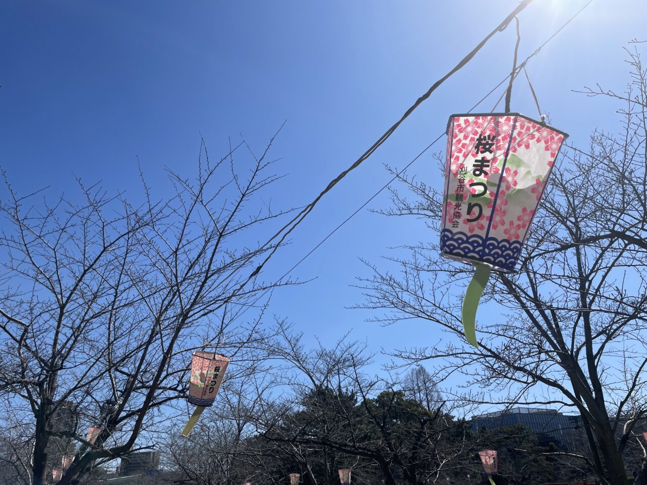 【刈谷市】約400本の桜が満開になる、亀城公園・洲原公園では「刈谷桜まつり」が開催されますよ♪ | 号外NET 刈谷市・知立市