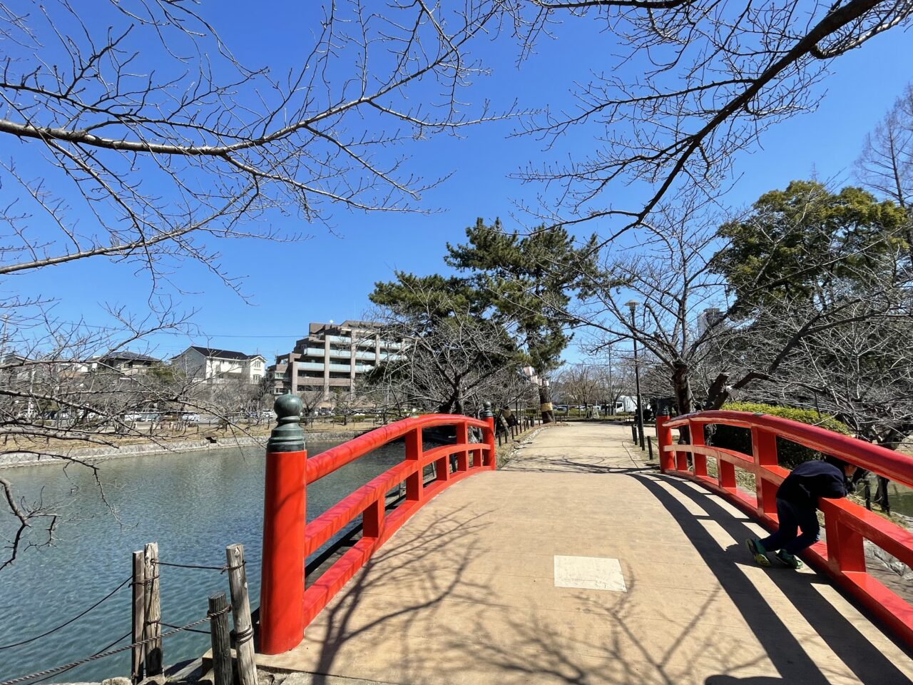 【刈谷市】約400本の桜が満開になる、亀城公園・洲原公園では「刈谷桜まつり」が開催されますよ♪ | 号外NET 刈谷市・知立市