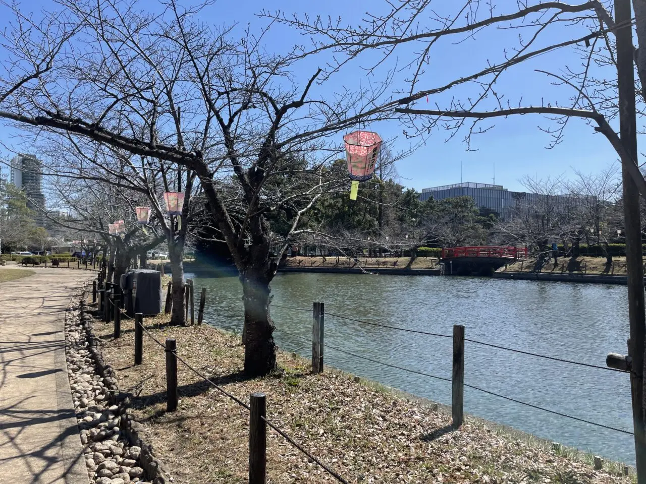 【刈谷市】約400本の桜が満開になる、亀城公園・洲原公園では「刈谷桜まつり」が開催されますよ♪ | 号外NET 刈谷市・知立市