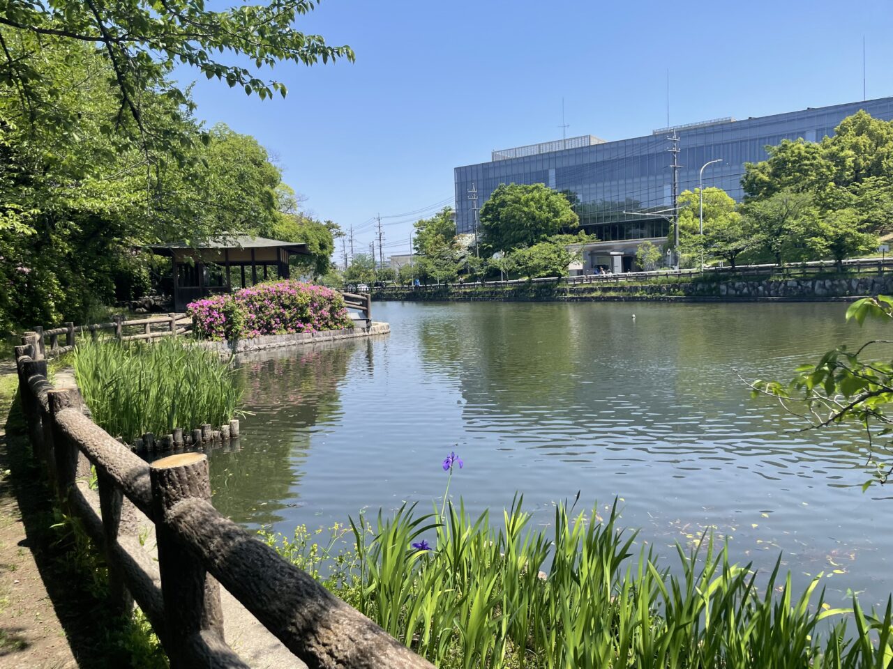 亀城公園