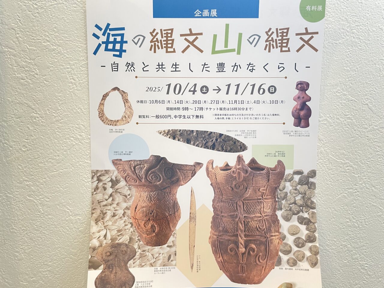海の縄文山の縄文