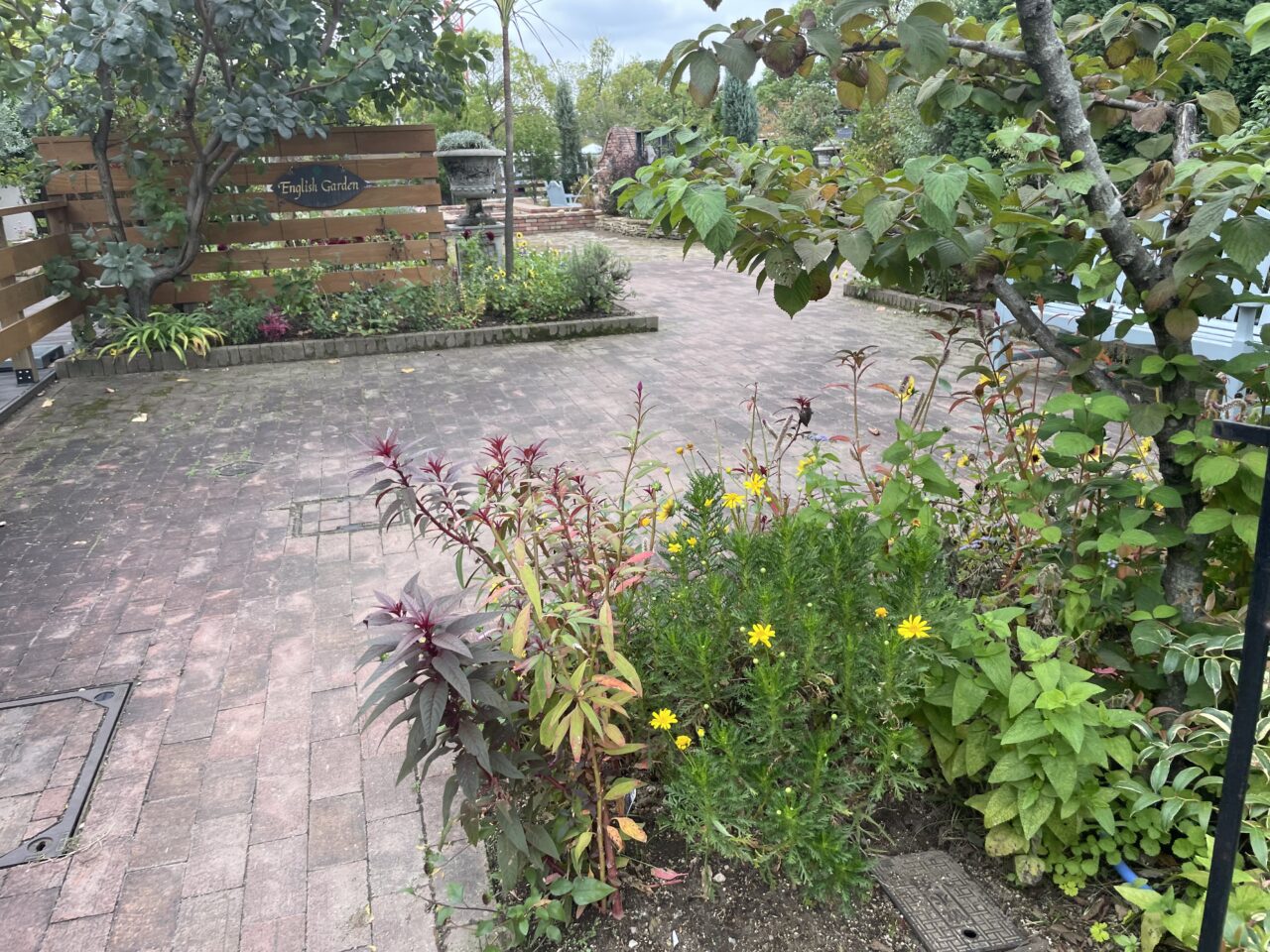 フローラルガーデンよさみ