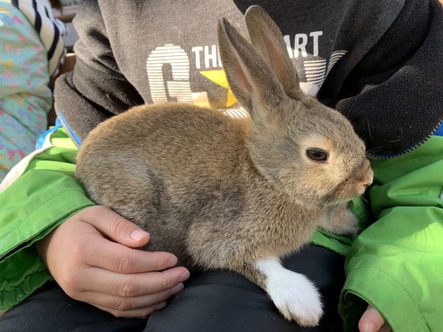 ふれあい動物園