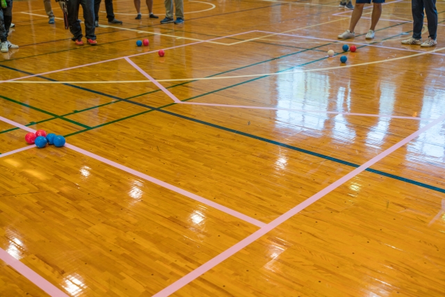 パラスポーツ
